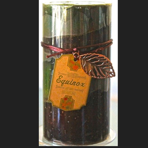 DW HOME AUTUMN CRISP APPLE CANDLE RICHLY SCENTED - Picture 1 of 4